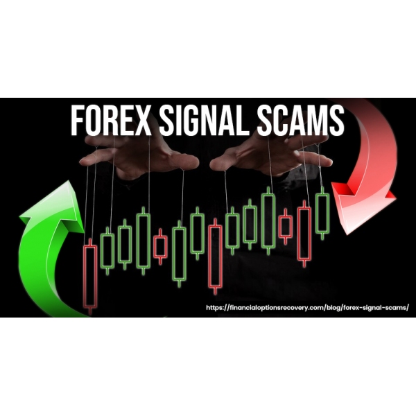 Have you lost your money in forex signal scam? then contact us